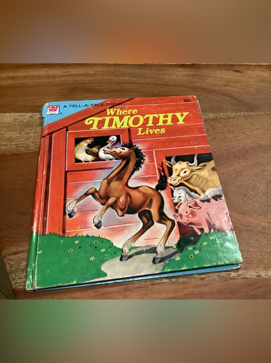 Other - Vtg. 1958 Children’s book titled Where Timothy Lives written by Betty Ren Wright